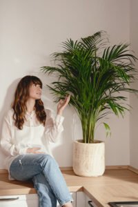 ZURA Areca