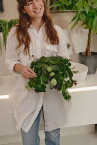 ZYRA Aeschynanthus Mona Lisa