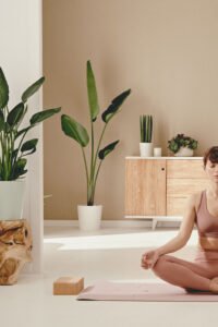 ZURA Ave del Paraíso STRELITZIA AUGUSTA, PLATANERO
