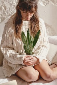 ZURA Sansevieria Zeylanica LENGUA DE SUEGRA